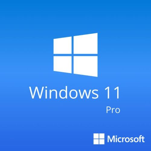 WINDOWS 11 PRO